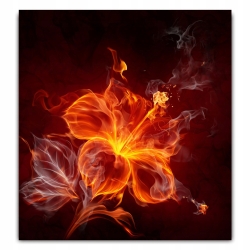 Panel szklany lacobel szkło grafika 60x65 cm