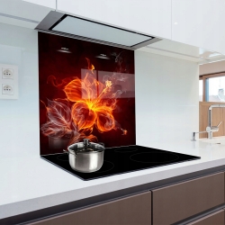 Panel szklany lacobel szkło grafika 60x65 cm