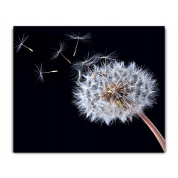 Panel szklany szkło hartowane do kuchni 60x50 cm