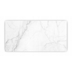 Panel hartowany lacobel grafika 120x60 cm PAN