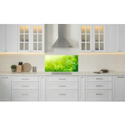 Szkło hartowane do kuchni na ścianę 120x60 cm PAN