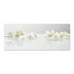 Panel hartowany lacobel grafika 125x50 cm PAN