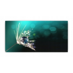 Panel hartowany lacobel grafika 100x50 cm PAN