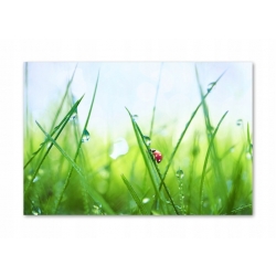 Szkło hartowane do kuchni na ścianę 70x50 cm PAN