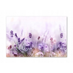 Szkło hartowane do kuchni na ścianę 70x50 cm PAN