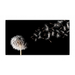 Panel hartowany lacobel grafika 70x40 cm PAN