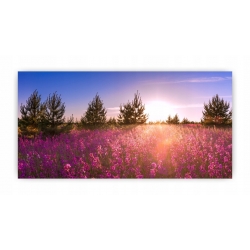 Szkło hartowane do kuchni na ścianę 80x40 cm PAN