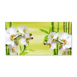 Szkło hartowane do kuchni na ścianę 80x40 cm PAN