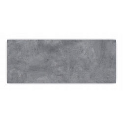 Panel hartowany lacobel grafika 100x40 cm PAN