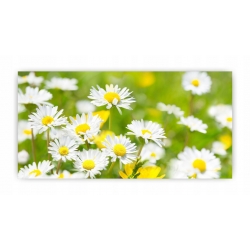 Szkło hartowane do kuchni na ścianę 100x50 cm PAN