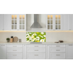 Szkło hartowane do kuchni na ścianę 100x50 cm PAN