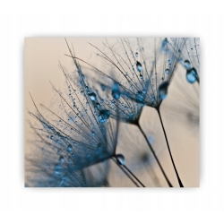 Panel hartowany lacobel grafika 70x60 cm PAN