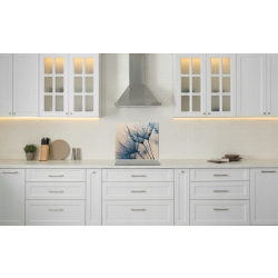 Panel hartowany lacobel grafika 70x60 cm PAN