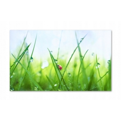 Szkło hartowane do kuchni na ścianę 60x40 cm PAN