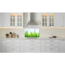 Szkło hartowane do kuchni na ścianę 60x40 cm PAN