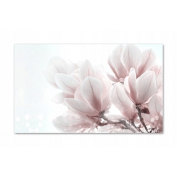 Szkło hartowane do kuchni na ścianę 60x40 cm PAN