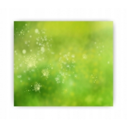 Panel hartowany lacobel grafika 60x55 cm PAN