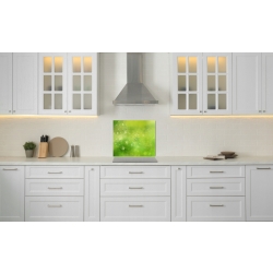 Panel hartowany lacobel grafika 60x55 cm PAN