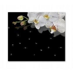 Szkło hartowane do kuchni na ścianę 60x55 cm PAN