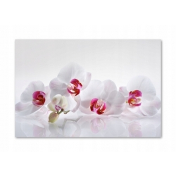 Szkło hartowane do kuchni na ścianę 55x40 cm PAN