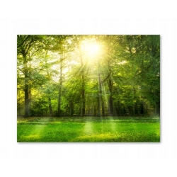 Szkło hartowane do kuchni na ścianę 50x40 cm PAN