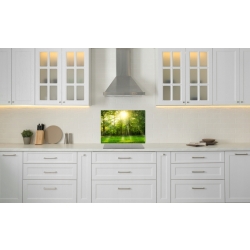 Szkło hartowane do kuchni na ścianę 50x40 cm PAN