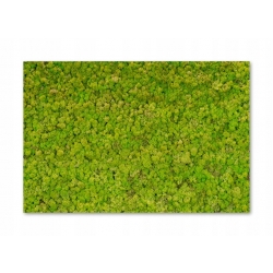 Panel szklany lacobel szkło grafika 90x60 cm PAN