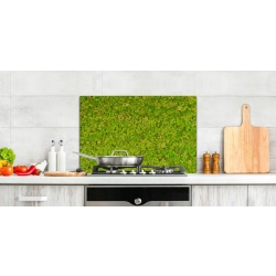 Panel szklany lacobel szkło grafika 90x60 cm PAN