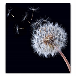 Panel szklany szkło hartowane do kuchni 60x60 cm