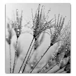 Panel szklany szkło hartowane do kuchni 60x60 cm