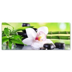 Obraz szklany 125x50 cm GP4024