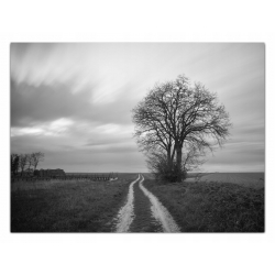 Obraz szklany 70x50 cm GP129085