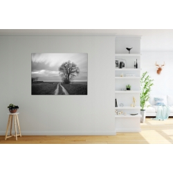Obraz szklany 70x50 cm GP129085