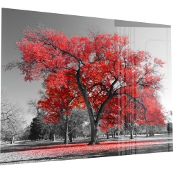 Obraz szklany 60x40 cm GP9059