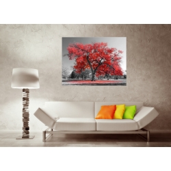 Obraz szklany 60x40 cm GP9059