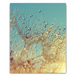 Panel szklany szkło hartowane do kuchni 60x75 cm