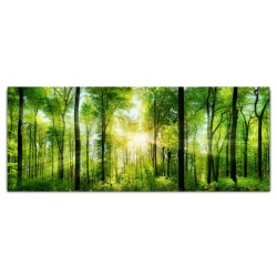 Obraz szklany 100x40 cm GP4007