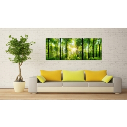 Obraz szklany 100x40 cm GP4007