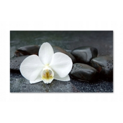 Szkło hartowane do kuchni na ścianę 80x50 cm PAN