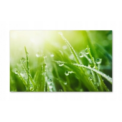 Szkło hartowane do kuchni na ścianę 80x50 cm PAN