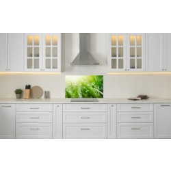 Szkło hartowane do kuchni na ścianę 80x50 cm PAN