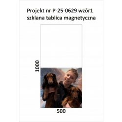 Panel INDYWIDUALNY FERROMAGNETYCZNY 50x100 cm P-25-0629-wzór1